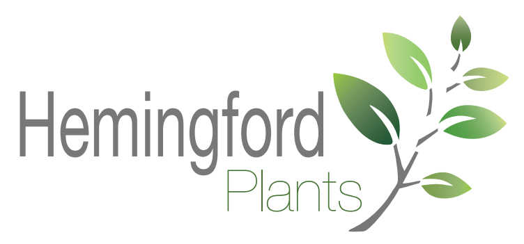 Hemingford Plants